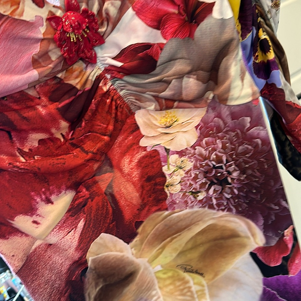 Roberto Cavalli Dress